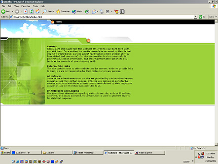 company&nbsp;website template