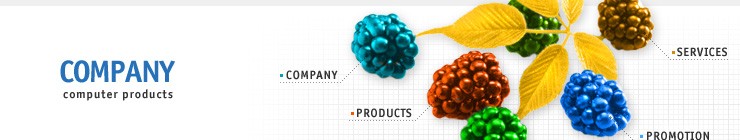computer&nbsp;website template