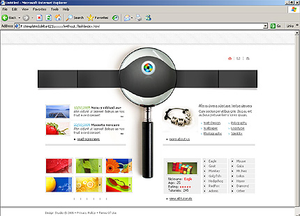 web&nbsp;site template