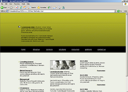 company&nbsp;website template