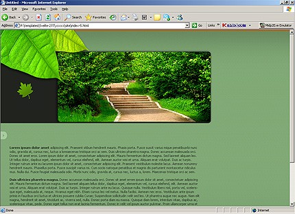 Template #14792, Html Content Page Screenshot