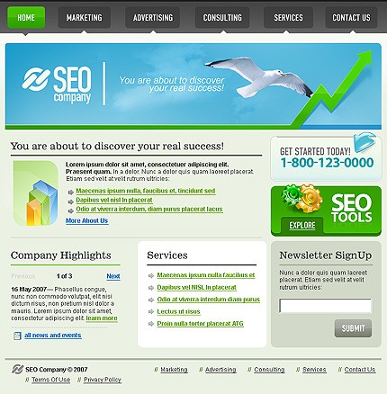 SEO Company Website Template