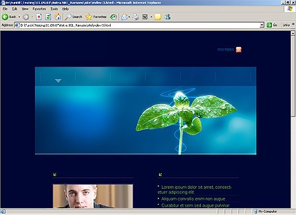 business&nbsp;website template