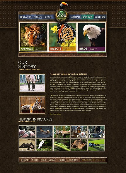 Template #20897, Photoshop Content Page Screenshot