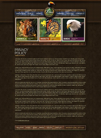 Template #20897, Photoshop Content Page Screenshot