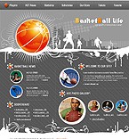 Flash template 21361
