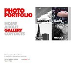 Flash web site template 21428