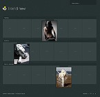 Flash web site template 21609