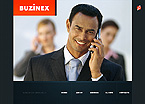 Flash web site template 21633