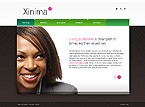Flash web site template 21637
