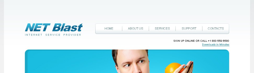 net&nbsp;website template