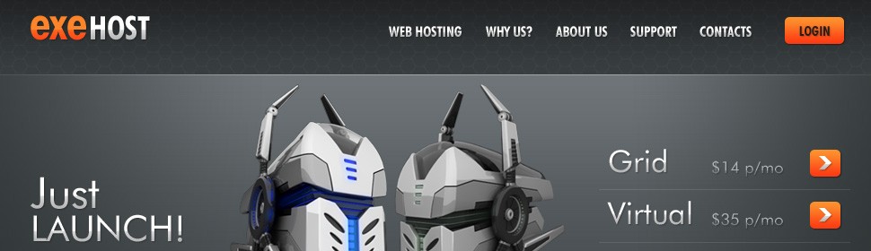 exehost&nbsp;website template