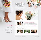 Flash web site template 21915