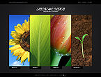 Flash Templates. Template #21972