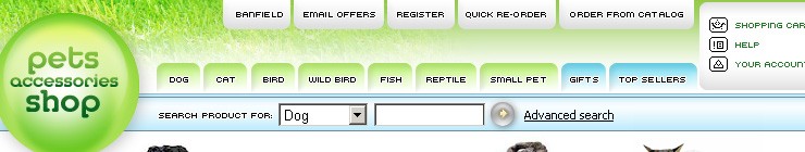 online&nbsp;website template