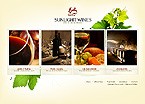 Flash web site template 22003