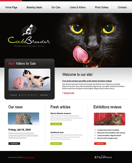 Cat Breeder Website Template