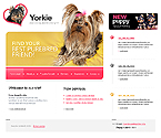 CSS template 22451