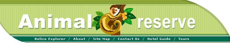 zoo&nbsp;website template