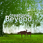 Template #23312Added: 2009-03-10Price: $95.00Categories: Flash 8, Web designKeywords: design, studio, creative, idea, solution, vision, designer, artist, painting, drawing, project, gallery, portfolio, profile, clients, development, offer, support, pricelist, quality, style, process, 3d, design, animation, author, award, web, design, 3d, modelIncluded: .FLA .SWF .XML