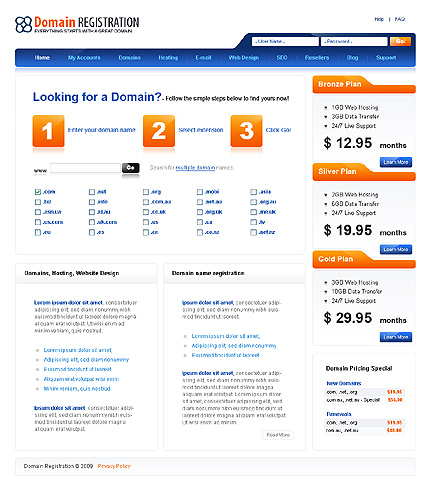 Domain Registration Website Template