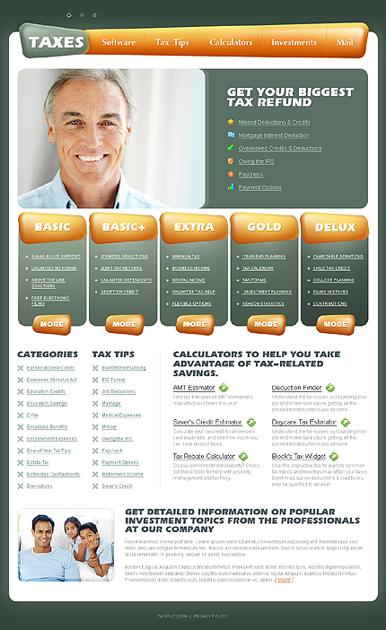 Taxes Website Template