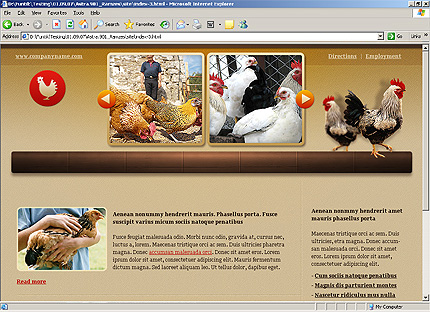 Template #24796, Html Content Page Screenshot