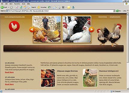Template #24796, Html Content Page Screenshot