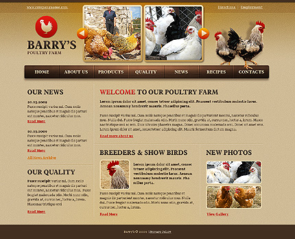 Template #24796, Adobe Photoshop Homepage Screenshot