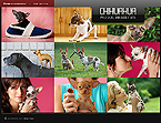 Flash Templates. Template #26195