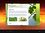 Flash Templates. Template #26568
