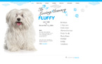 Website Templates. Template #27039