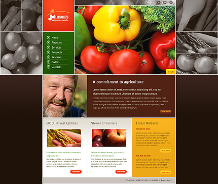 Voorbeeld Zign Template 27218