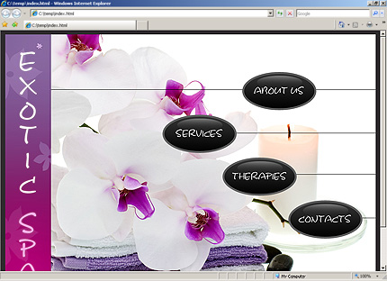 Voorbeeld Zign Template 27245