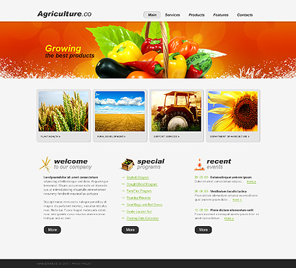 Voorbeeld Zign Template 27524