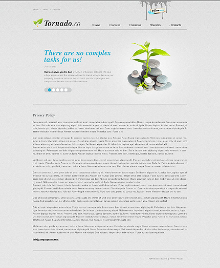 Template #27638, Photoshop Content Page Screenshot