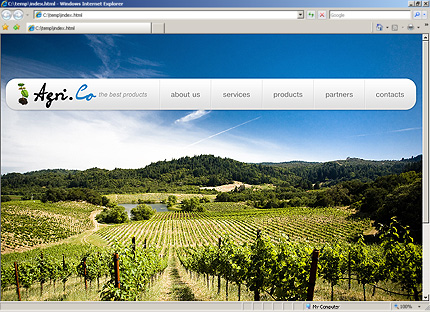 co&nbsp;website template