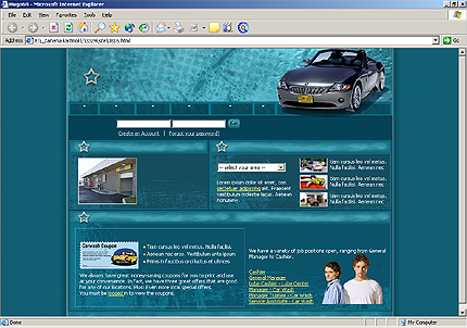 wash&nbsp;website template