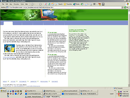 company&nbsp;website template