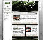 Flash intro template 5227