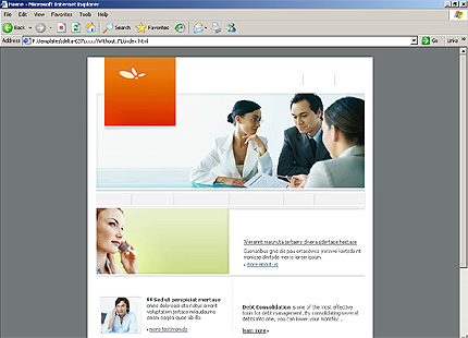 company&nbsp;website template